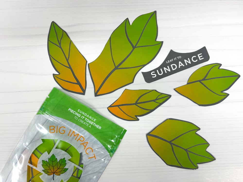 SunDance PE Recyclable Pouch-1